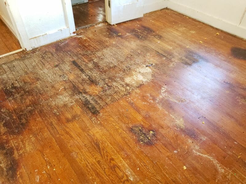 damaged wood floor